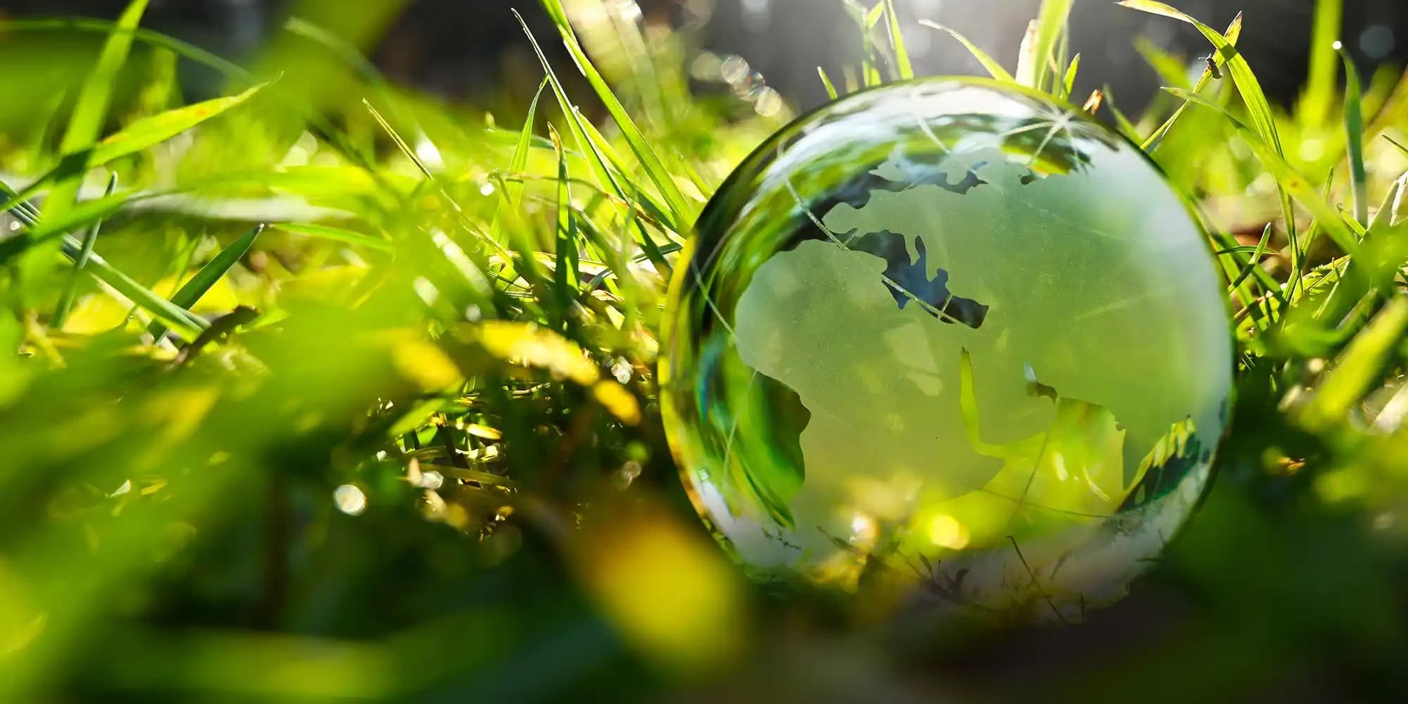 A glass globe with continents is nestled among green grass and sunlight