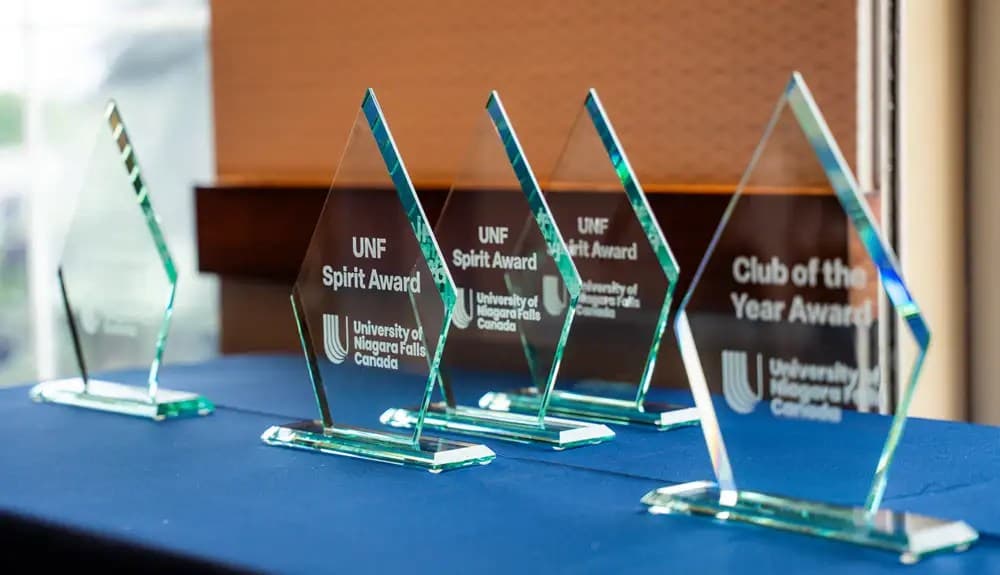 Number of award trophies displayed