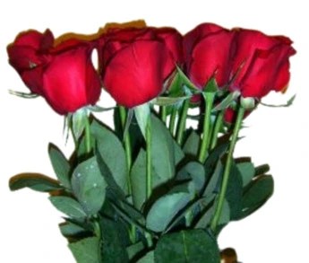 Half dozen flowers