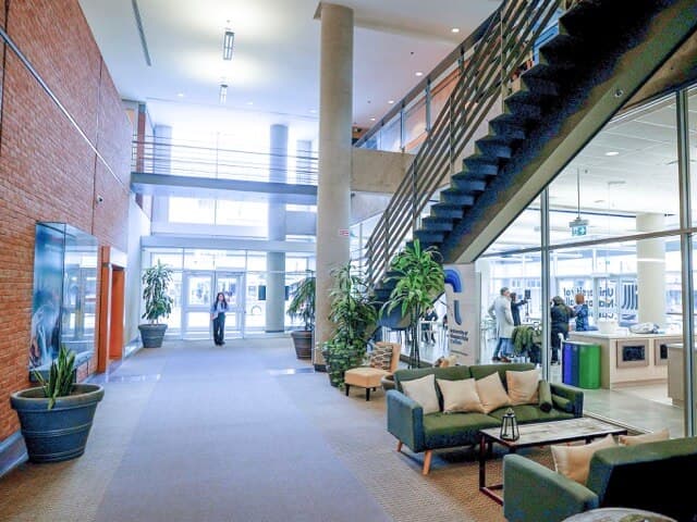 A contemporary office featuring sleek green furniture, creating a stylish and professional workspace