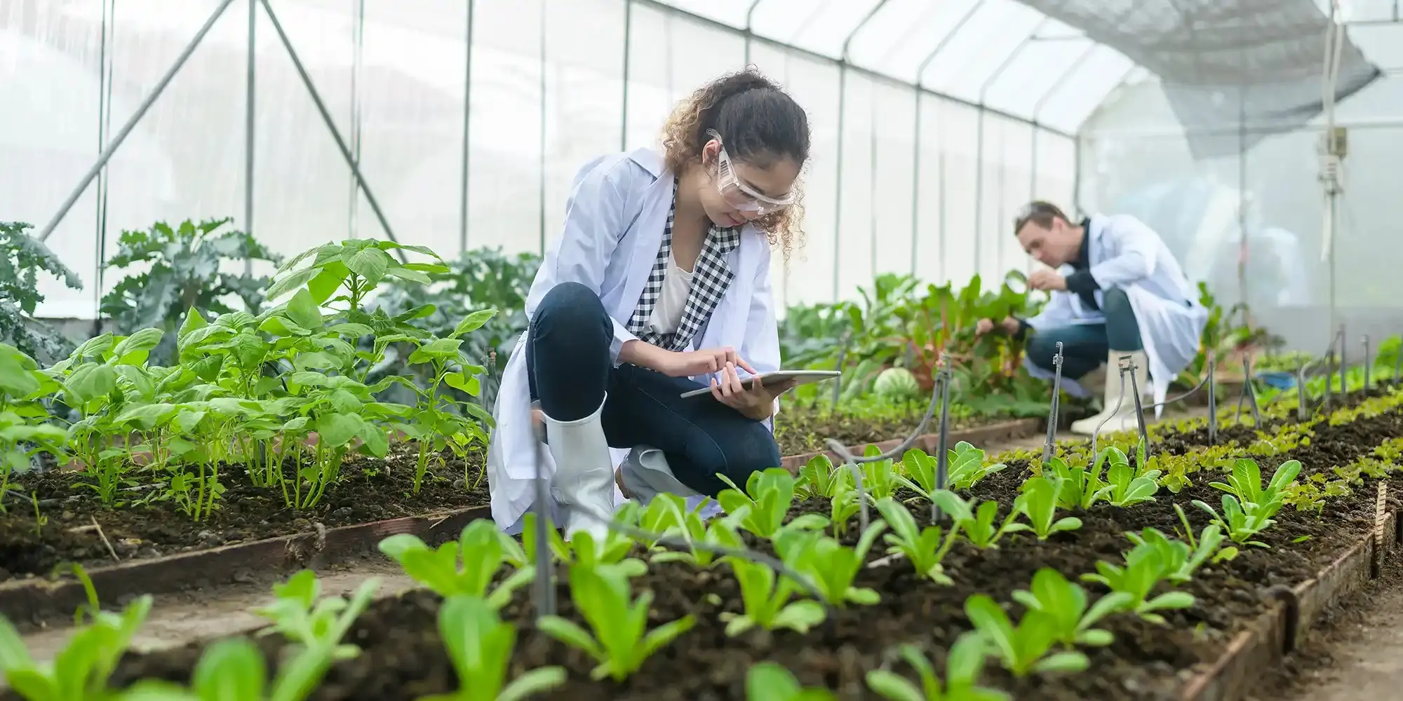 A women looking at plants and using tablets