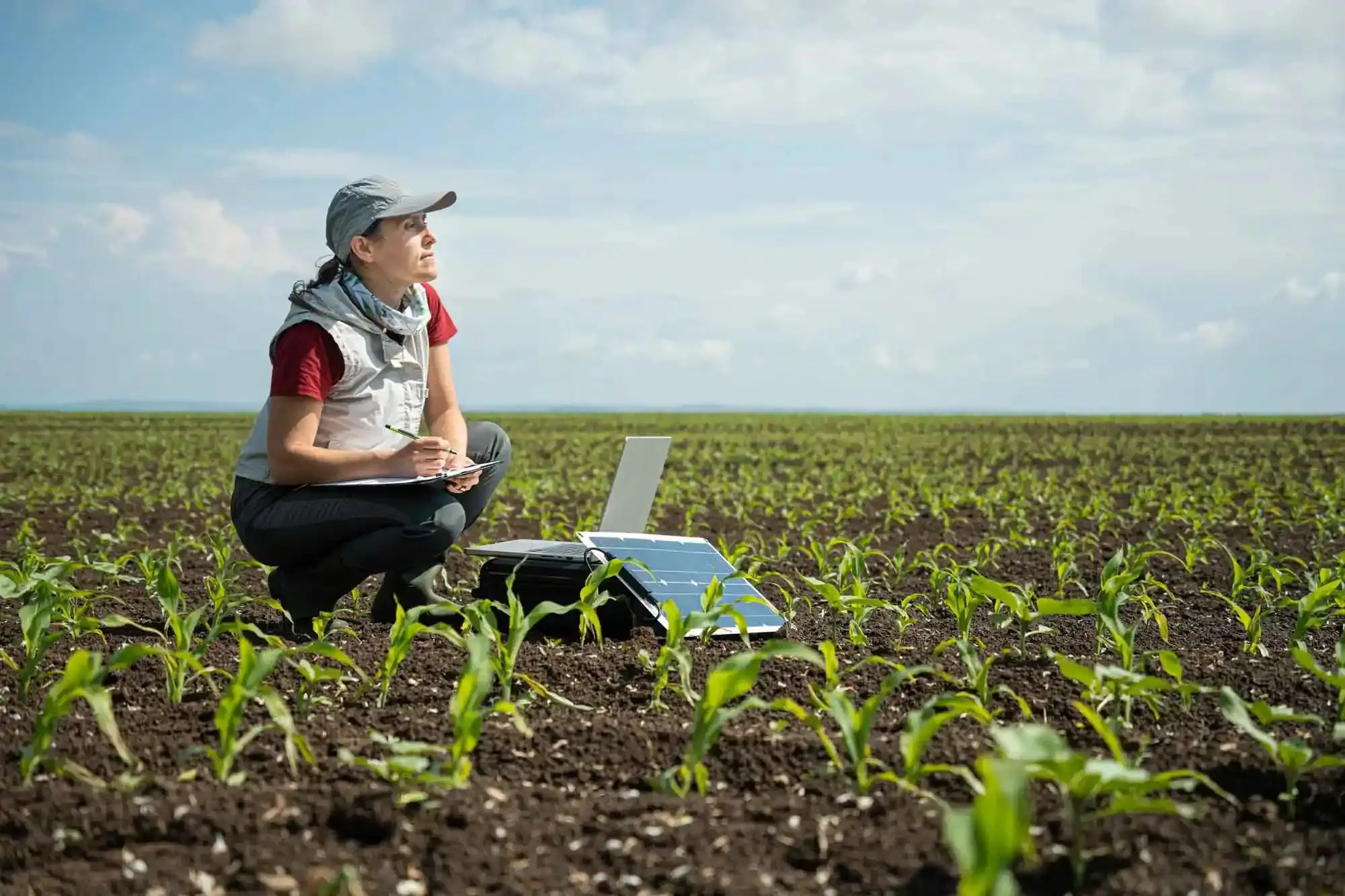 Sustainability practices in regenerative agriculture. Field-based soil studies using mobile lab & software technologies. Survey of soil environment restoration.