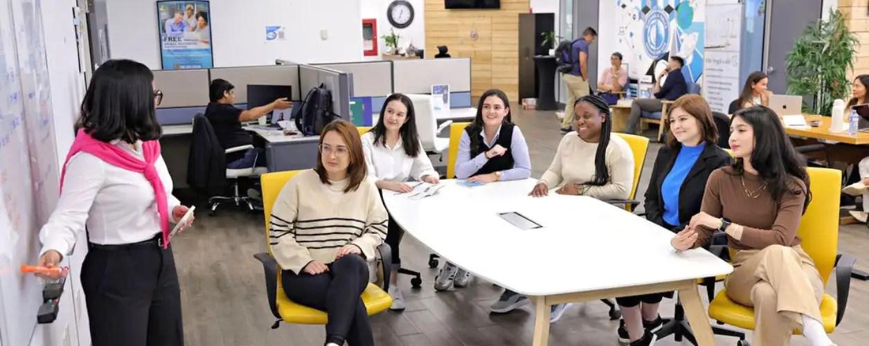 From flocks to the office: How nature’s swarms are transforming team management