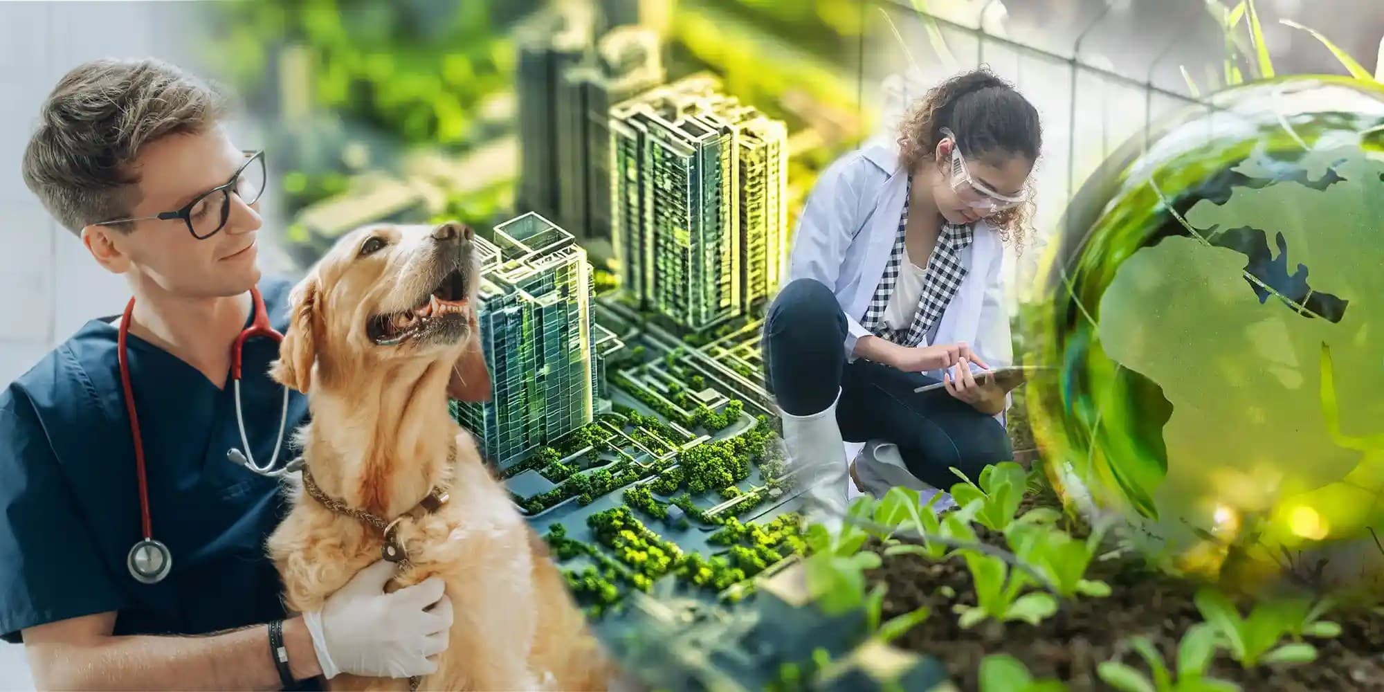 New programs image merge