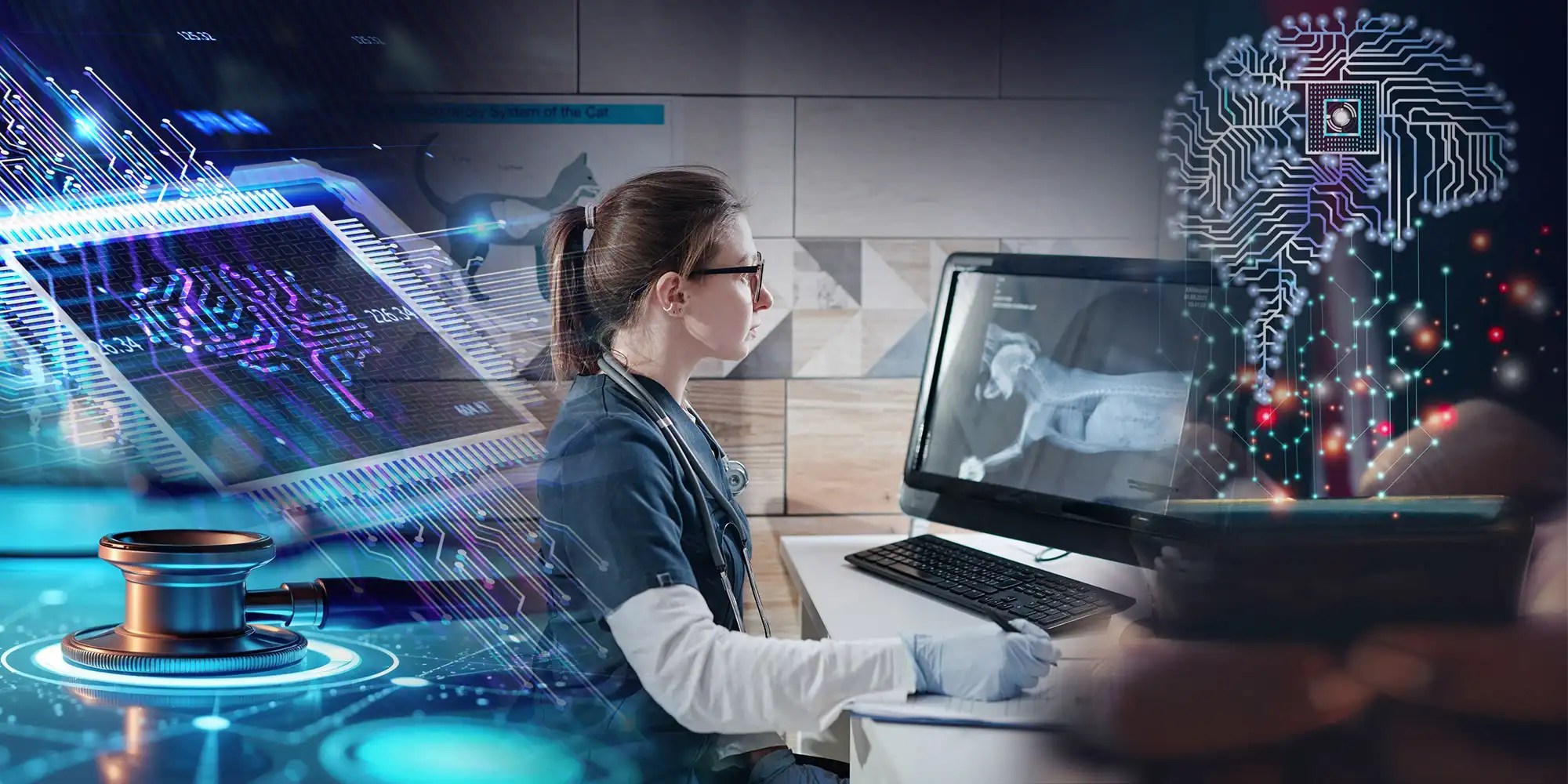 merged image of healthcare and computer science
