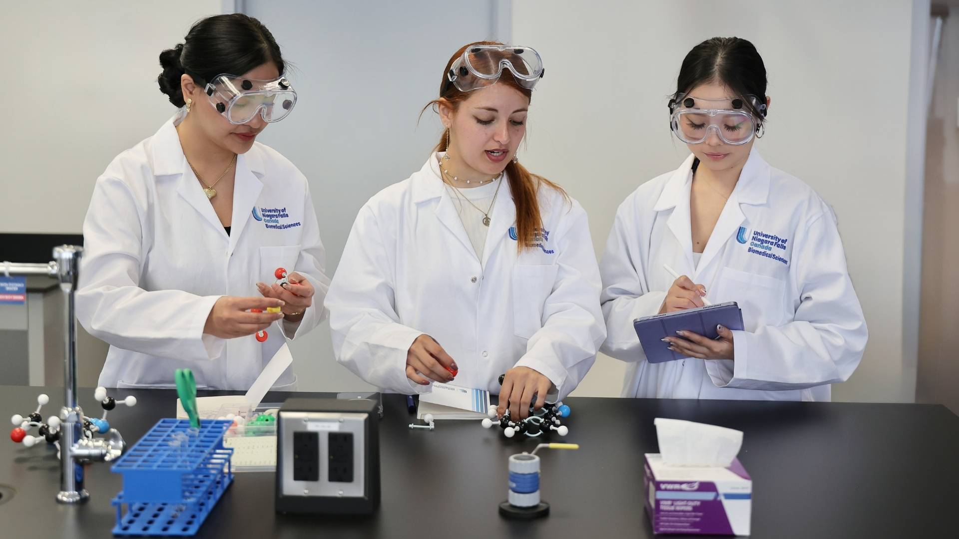Students conducting laboratory work