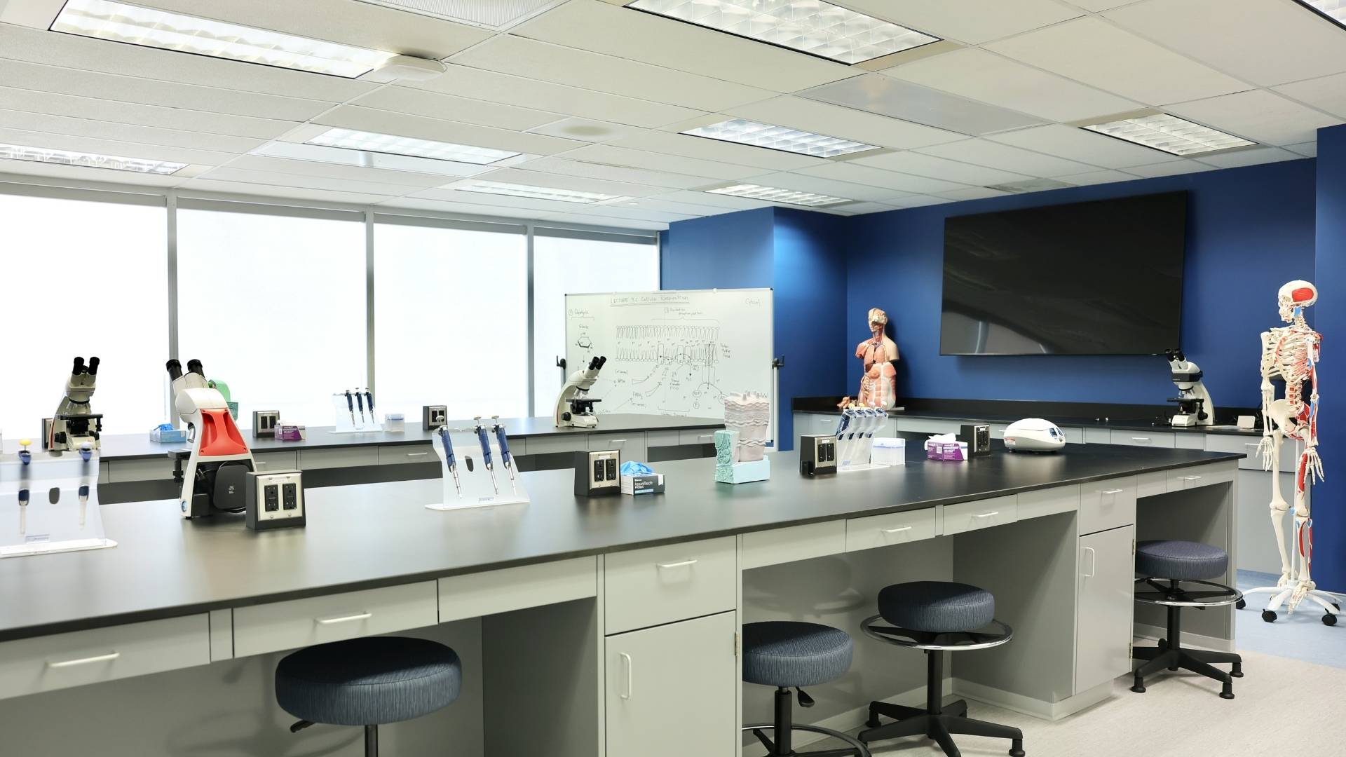 Biomedical teaching laboratory