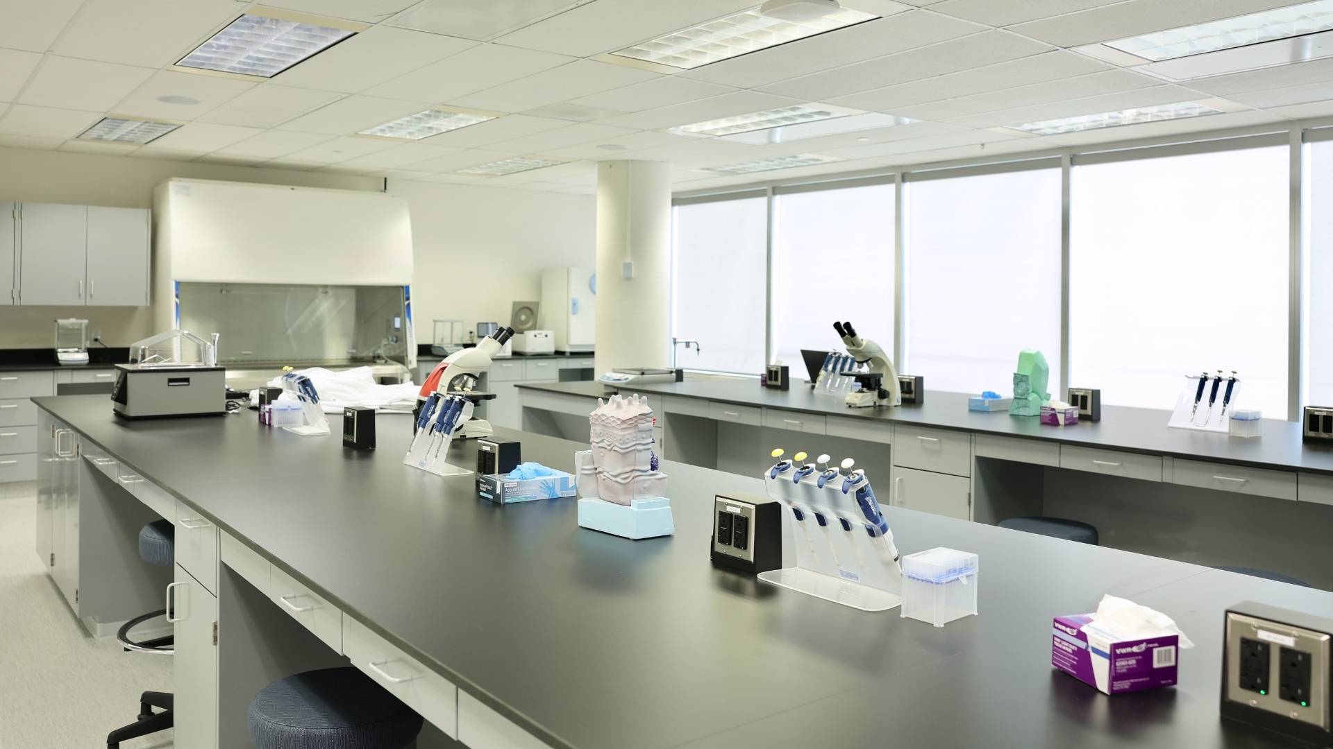 Modern laboratory with scientific equipment