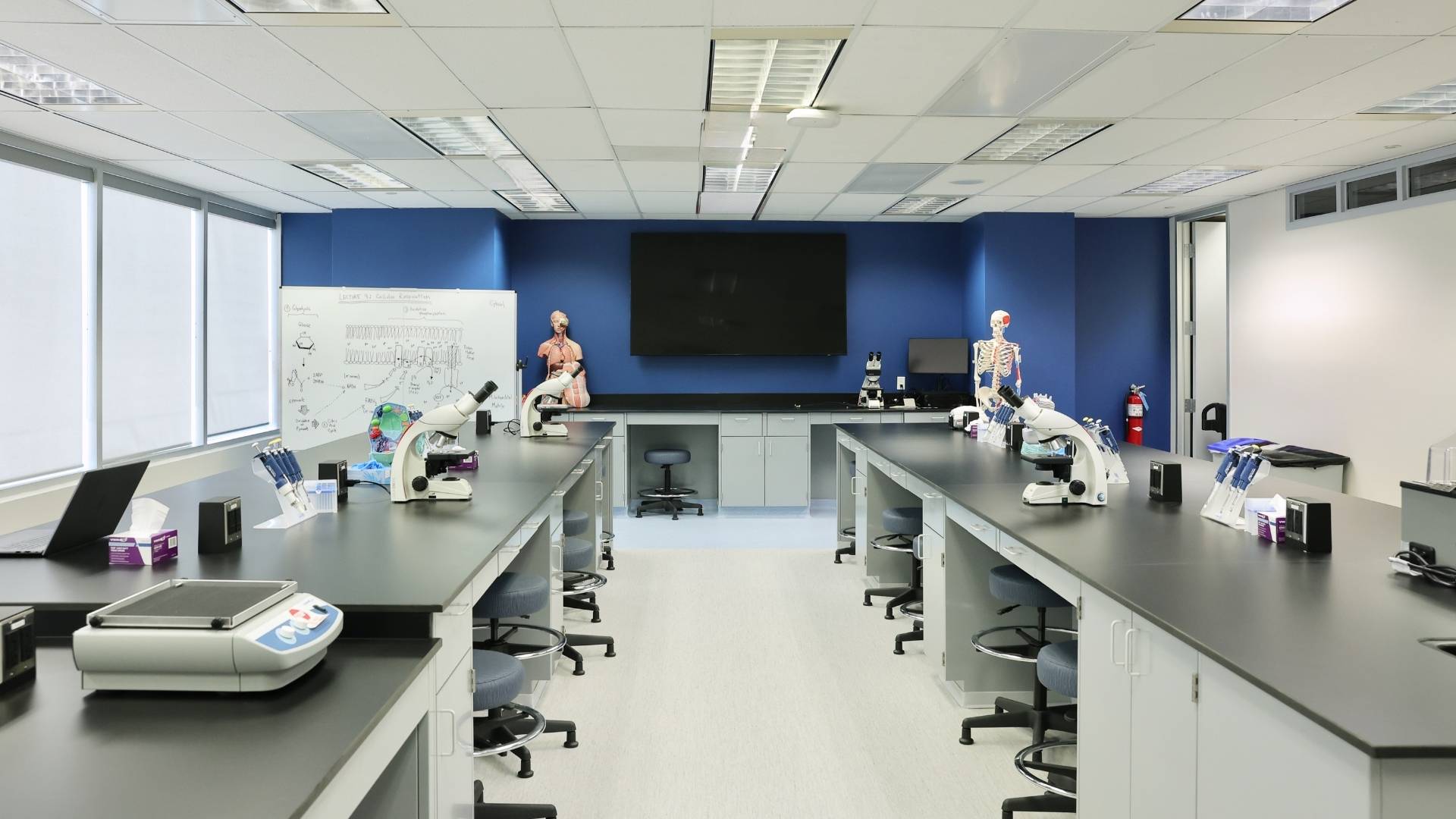 Biomedical laboratory with microscopes